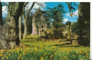 Scotland Postcard - Dryburgh Abbey - Berwickshire - Ref 7683A