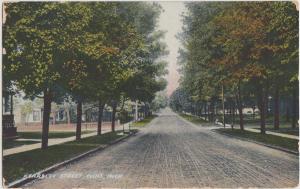 Michigan Mich Postcard 1909 FLINT Michigan KEARSLEY STREET Homes