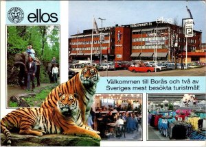 Boras, Sweden  ELLOS DEPARTMENT STORE & ANIMAL PARK~ZOO Elephants 4X6 Postcard