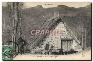 Postcard Old Folk Housing in the mountains Sheep Auvergne