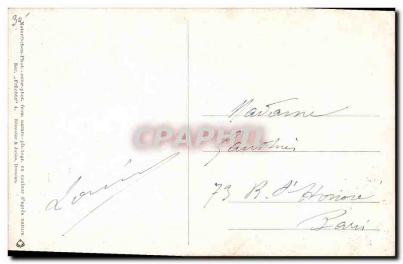 Old Postcard Fantasy Still Life Cherries