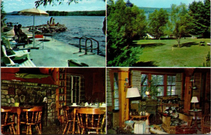Vtg Harrison Maine ME Silver Birch Lodge Cottages Long Lake Postcard
