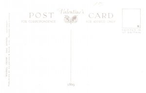 Dog , Cairn Terrier , Black Cocker , Pekingese , Sealyham