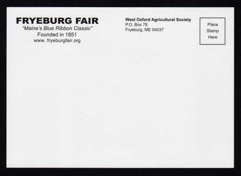 ME Fryeburg County Fair, Maine Postcard, Sheep, Lambs PC