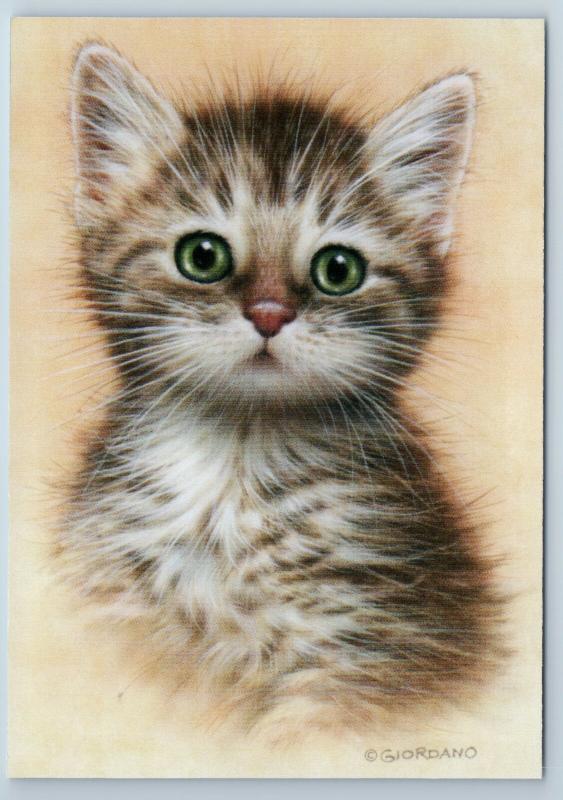 CUTE CAT Striped with green eyes by Giordano New Russian Postcard