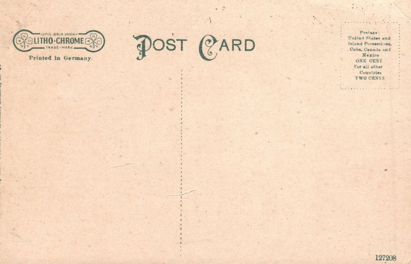 Vintage Postcard 1910's Grace Church Elmira New York N. Y.