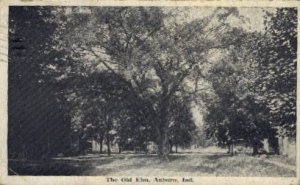 The Old Elm - Auburn, Indiana IN