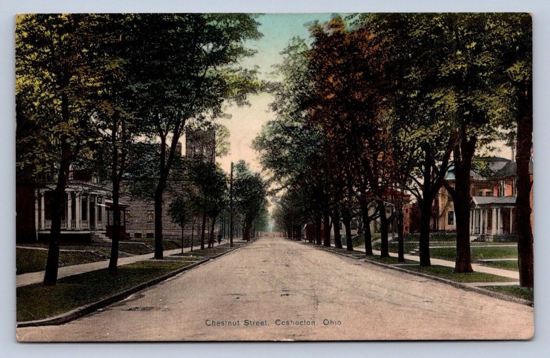 J91/ Coshocton Ohio Postcard c1910 Chestnut Street Homes  146