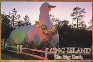 Long Island The Big Duck at Night Illuminations New York Postcard
