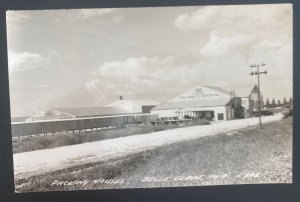 Mint USA real Picture Postcard Packing Houses Belle glade Florida