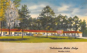 Tallahassee Motor Lodge Tallahassee FL Postcard