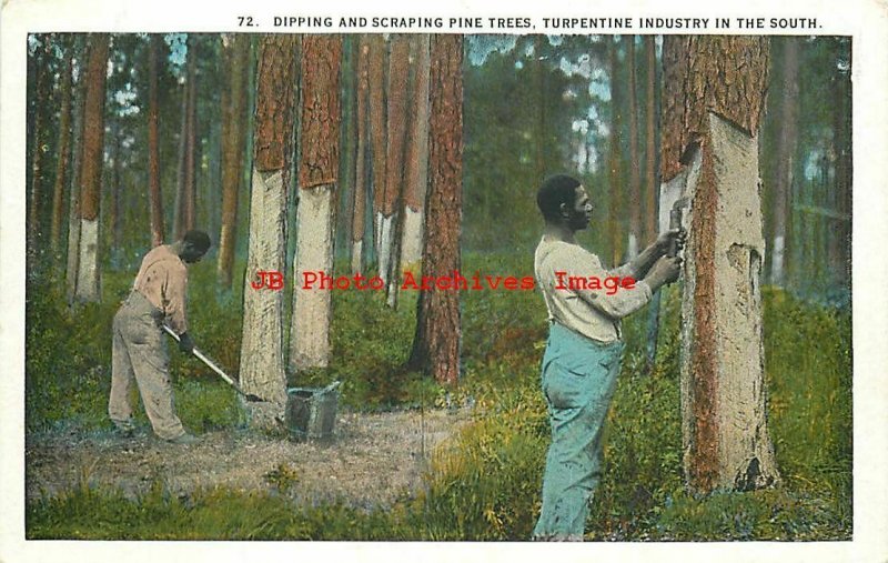 Black Americana, Teich No R-21051, Dipping & Scrapping Pine Trees, Turpentine