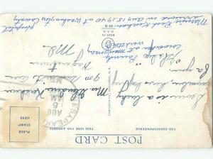 Bamforth Comic signed TAYLOR - BLACK WITH MANY BABY KITTENS AB8761