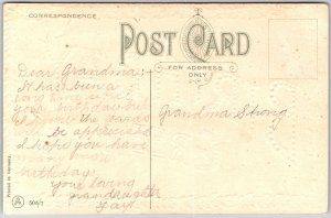 Birthday Greetings Rose Flowers Embossed Leaves Border Postcard