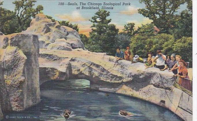 Illinois Chicago Zoological Park At Brookfield The Seals 1943 Curteich