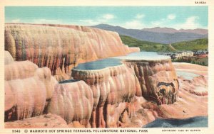 Vintage Postcard Mammoth Hot Springs Terraces Yellowstone National Park Wyoming