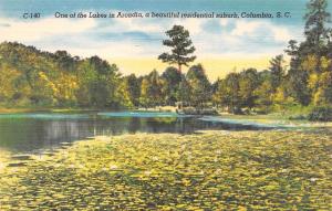 ARCADIA, SC South Carolina  BEAUTIFUL LAKE VIEW  Spartnburg Co  c1940's Postcard