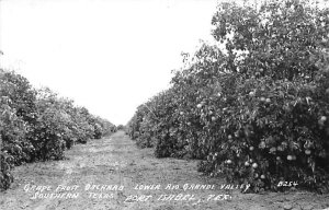 Lower Rio Grande Valley Real Photo - Port Isabel, Texas TX