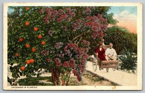 Vintage Florida Postcard - December in Florida
