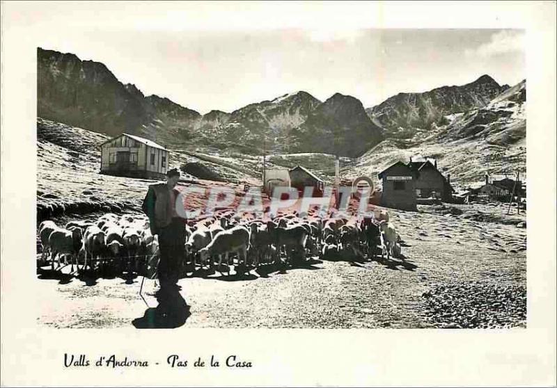 CPM Andorra Valls d'Andorra Pas de la Casa Moutons Berger