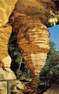 Hornets Nest Built By Colonies Dells Of The Wisconsin WI 