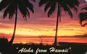 Vintage Postcard Aloha From Hawaii Tropical Sunset Hawaiian Beach View HI 