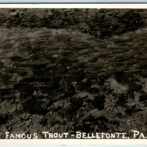 c1930s Bellefonte, PA RPPC Famous Trout Sager Real Photo Rainbow River Penn A168