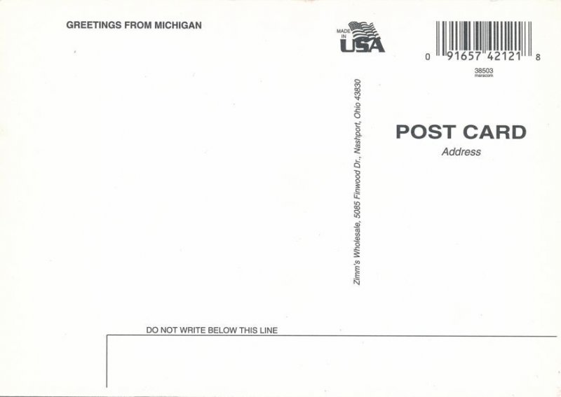 Greetings from Michigan with Map - State Tree White Pine - Flower Apple Blossom