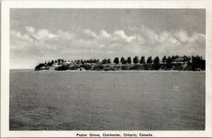 Postcard ON Colchester Poplar Grove View From Lake Erie Cottages 1940s K42