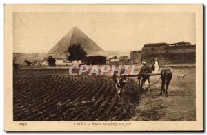 Postcard Ancient Egypt Egypt Cairo Native plowing the field