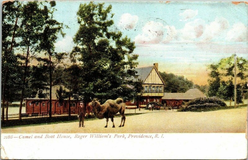 2186 Camel and Boat House Roger William’s Park Providence RI Postcard PM 