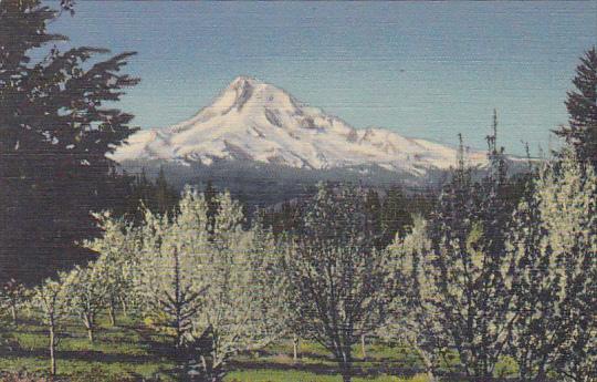 Oregon Mount Hood On The Union Pacific Railroad