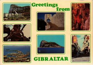 CPA Gibraltar-Greetings from Gibraltar (320853)