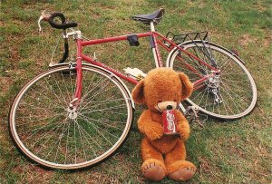 Postcard Fair Basingstoke Bicycling Bruce Teddy Bear Coke Bicycle 1991