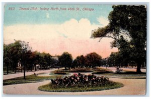 1914 Drexel Boulevard Looking North from 46th Street Chicago IL Postcard