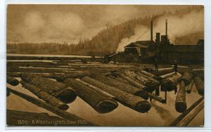 Sawmill Logging Lumber Industry Washington 1910c postcard