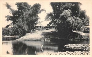 RPPC PAGSANJAN  VILLAGE PHILIPPINES COCOANUT RAFTS REAL PHOTO POSTCARD (c.1920)