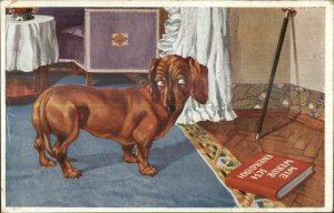 Sweet Dachshund Dog Looking at German Book BKWI c1910 Postcard