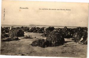 CPA TROUVILLE - La cueillette des moules aux Roches Noires (271916)