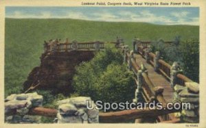 Lookout Point - West Virginia State Forest Parks, West Virginia