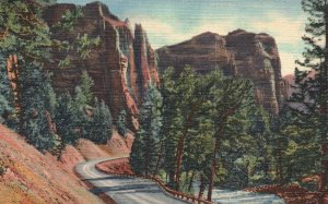 Vintage Postcard 1949 Palisades & Shoshone River Upper Canon To Yellowstone Park