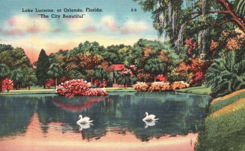 Vintage Postcard 1958 Lake Lucerne Swan Flowers Orlando Florida City Beautiful