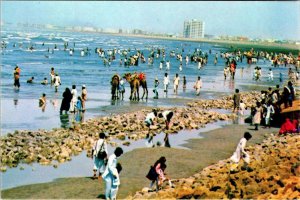 Karachi, Sindh Pakistan  CLIFTON BEACH  Swimmers~Camels~Sunbathers  4X6 Postcard