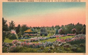 Vintage Postcard 1930's Perennial Tropical Gardens Thompson's Floraland Atl. GA