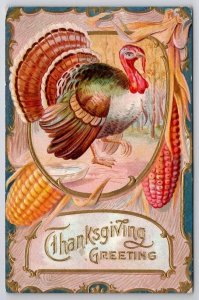 Thanksgiving Greetings Large Turkey With Corn Cobs Postcard C40