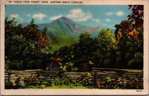 USA Mt Pisgah From Hominy Creek Western North Carolina Linen Postcard 09.70