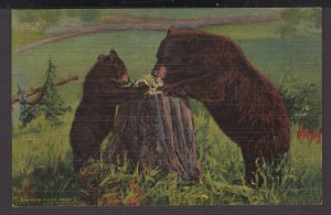 Bears Learning Table Manners are very human and entertaining ~ Linen