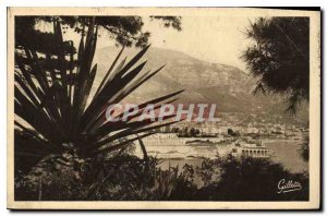 Postcard Old French Riviera Monte Carlo Artistic Between the Trees