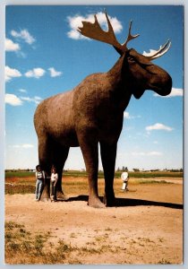 World’s Largest Moose, Trans Canada Highway,  Moose Jaw Saskatchewan Postcard