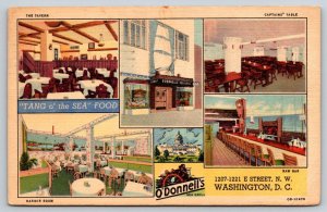 1955  O'donnell's Sea Grill  Washington DC   Postcard